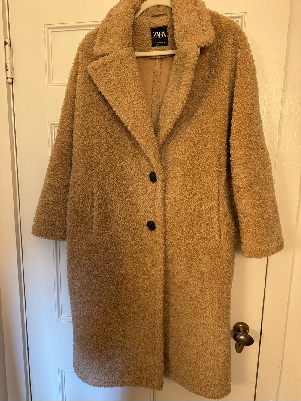 Zara Tan Teddy Long Coat